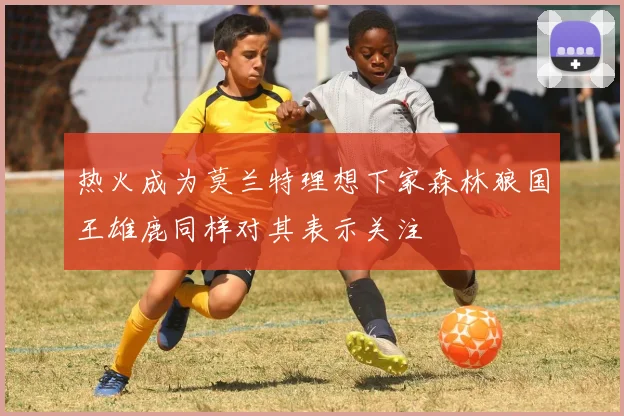热火成为莫兰特理想下家森林狼国王雄鹿同样对其表示关注