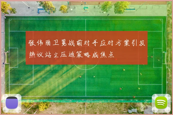 张伟丽卫冕战前对手应对方案引发热议站立压迫策略成焦点