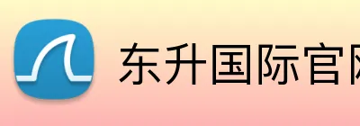 东升国际官网 Logo